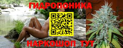 сатива Рыбинск